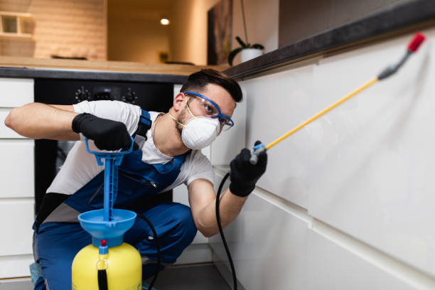 Best Emergency Pest Control  in Westland, MI