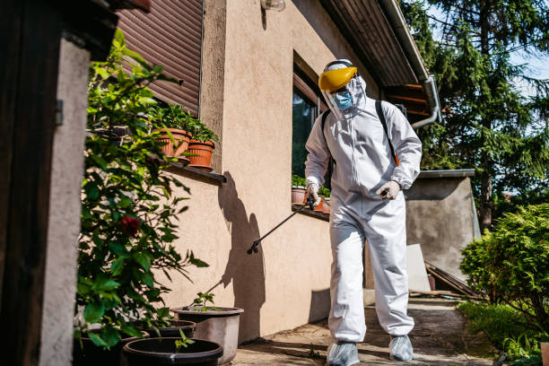 Best Best Pest Control Companies  in Westland, MI