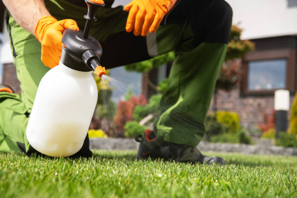 Best Exterminator Services  in Westland, MI