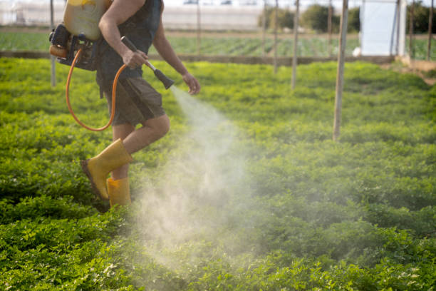 Reliable Westland, MI Pest Control Solutions