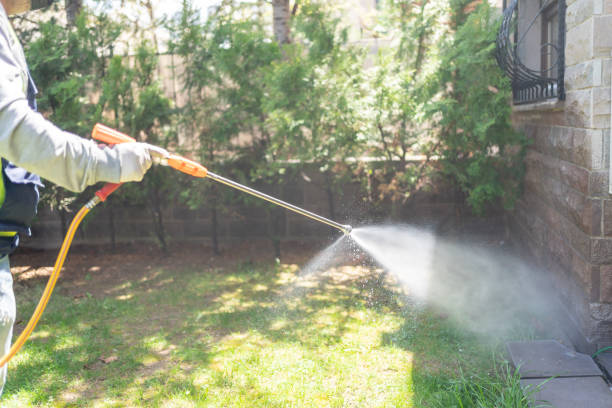 Best Insect Control  in Westland, MI