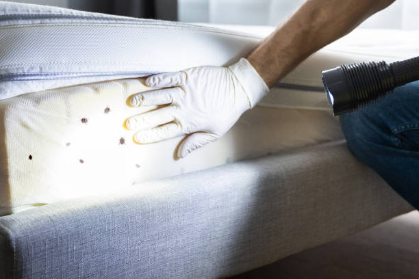 Best Best Pest Control Companies  in Westland, MI