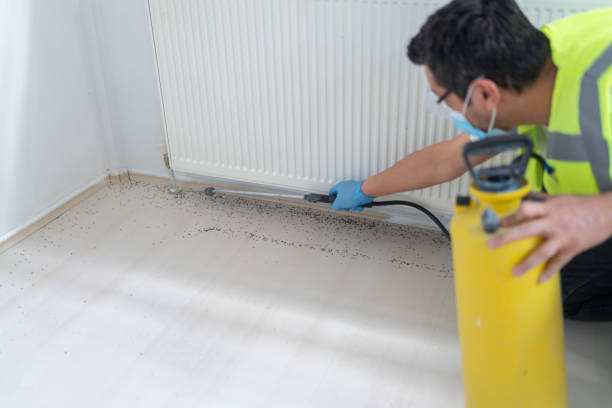 Pest Control Cost in Westland, MI
