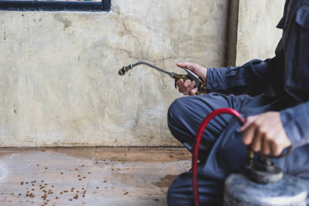 Best Pest Control Near Me  in Westland, MI