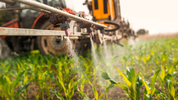 Best Pest Control Cost  in Westland, MI